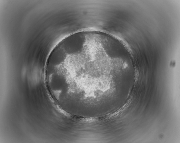 X0000099311278200805231355