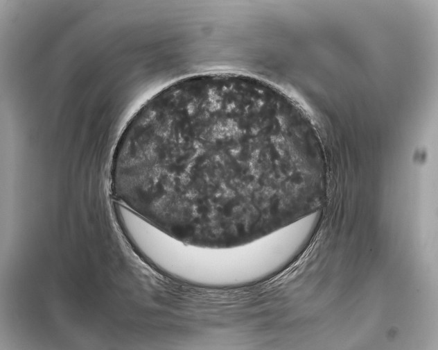 X0000099311279200805231355