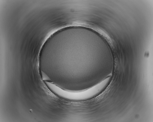 X0000099311280200805231355