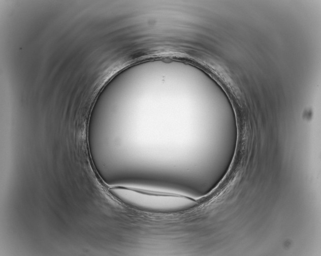 X0000099311281200805231355