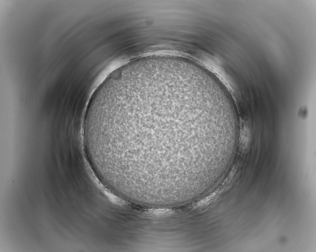 X0000099311282200805231355