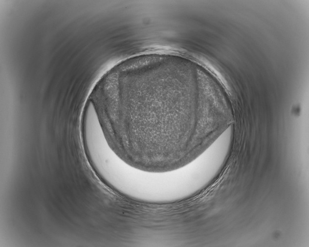 X0000099311283200805231355