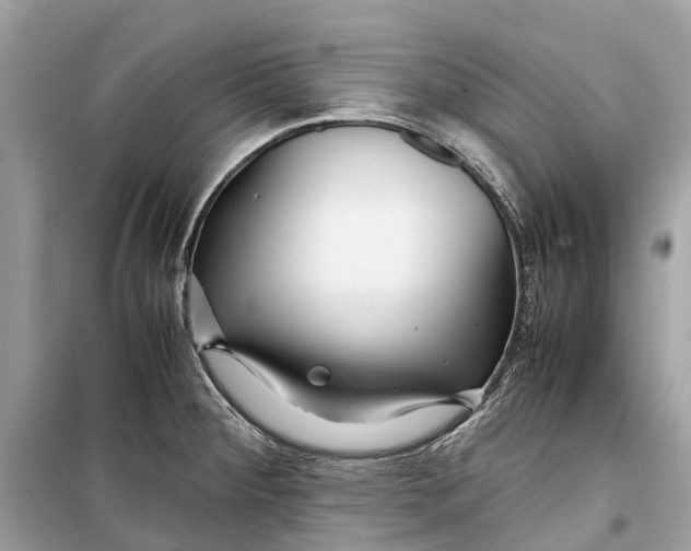 X0000099311284200805231355