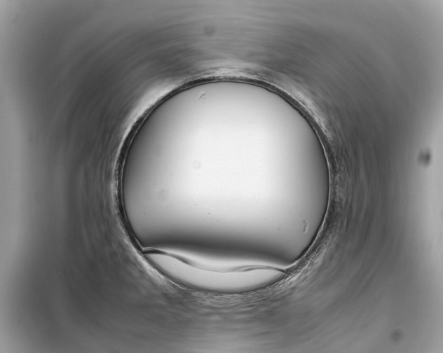 X0000099311285200805231355