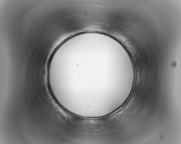 X0000099311286200805231355