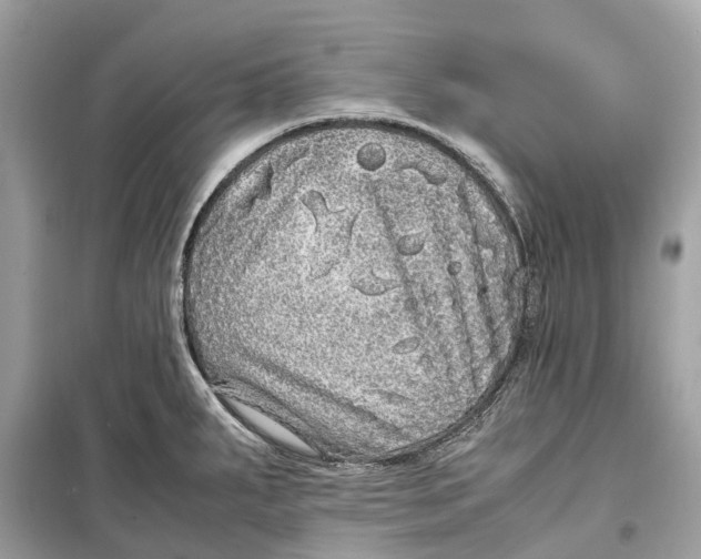 X0000099311287200805231355