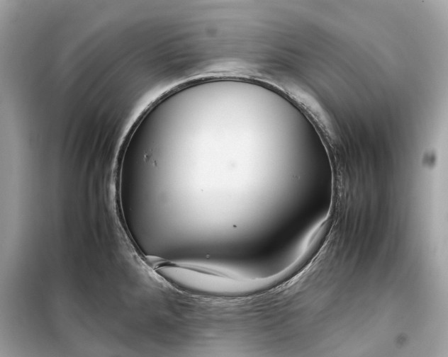 X0000099311288200805231355