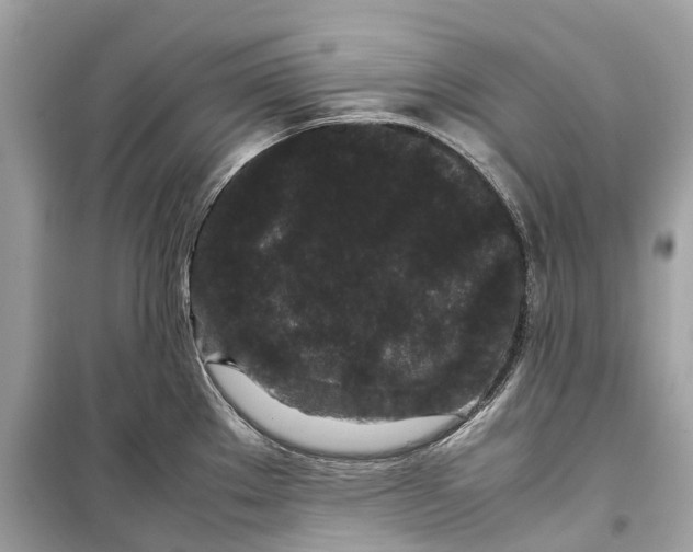 X0000099311289200805231355