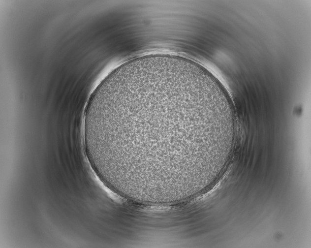 X0000099311290200805231355