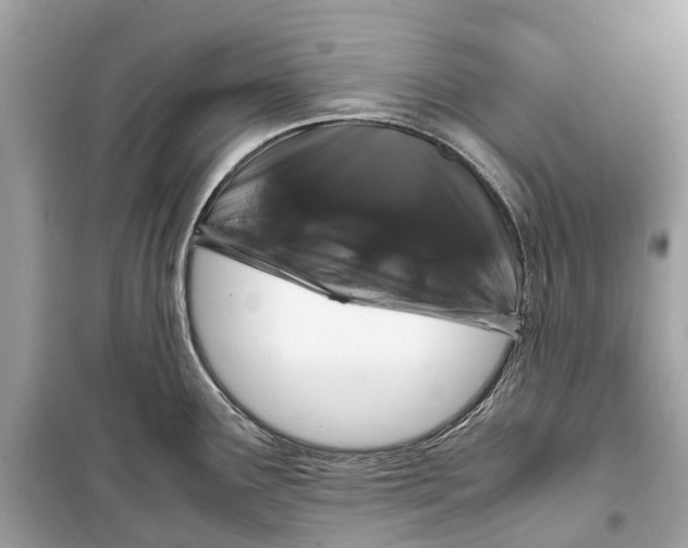 X0000099311291200805231355