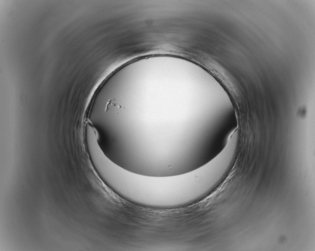 X0000099311292200805231355