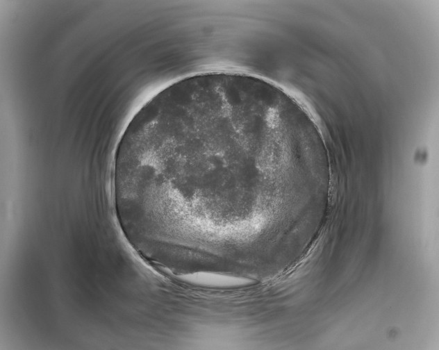 X0000099311295200805231355