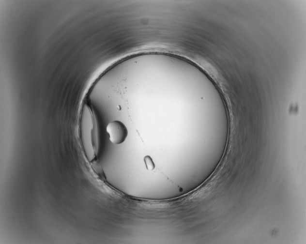 X0000099311296200805231355