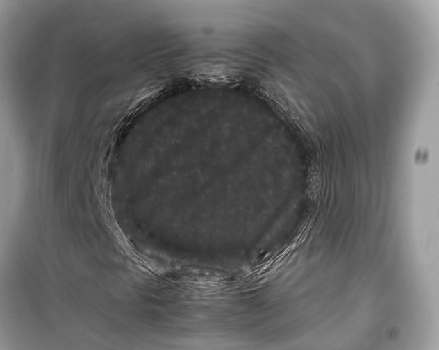 X0000099311297200805231354