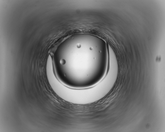 X0000099311298200805231354