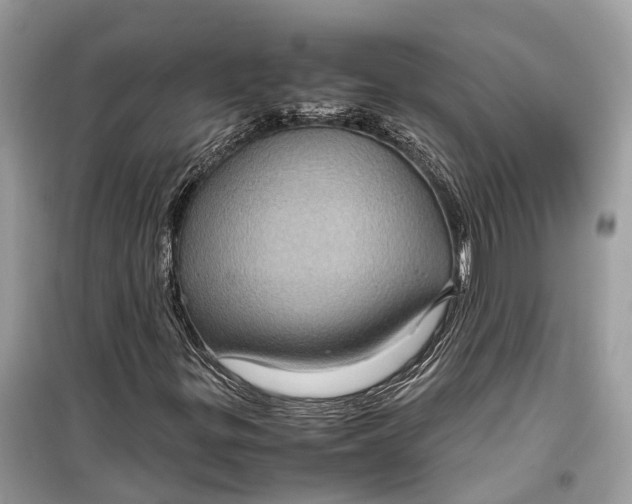 X0000099311299200805231354