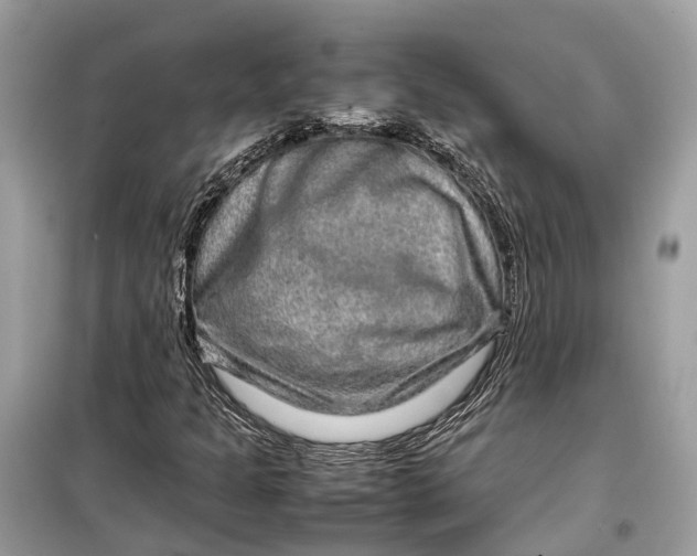 X0000099311301200805231354