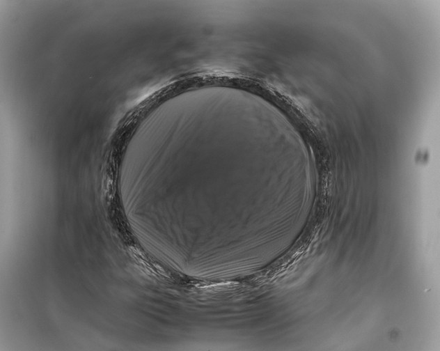 X0000099311303200805231354