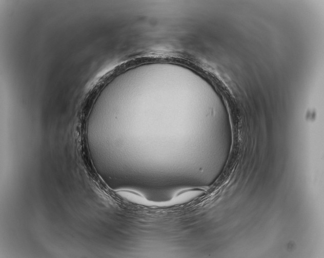 X0000099311304200805231354