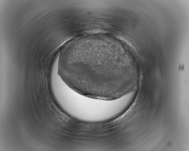 X0000099311305200805231354