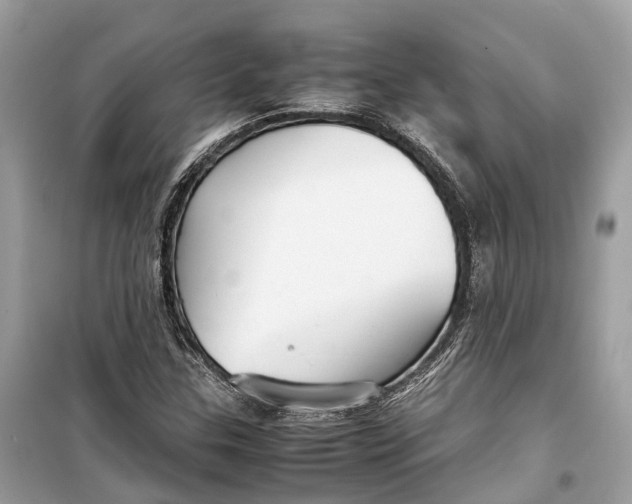 X0000099311307200805231355