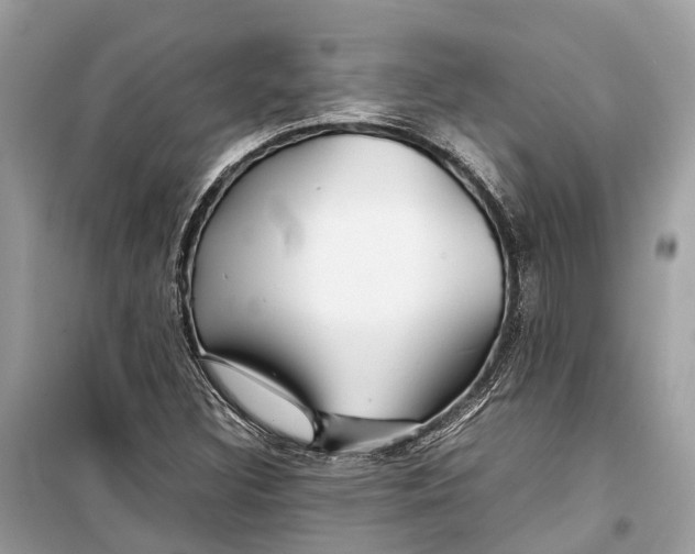 X0000099311308200805231355