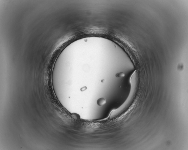 X0000099311309200805231355