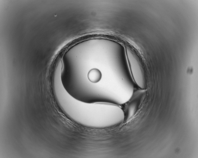 X0000099311310200805231355