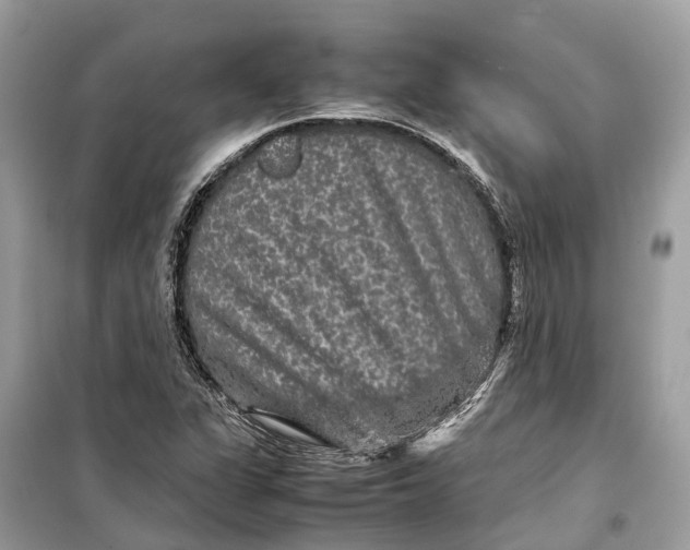 X0000099311311200805231355