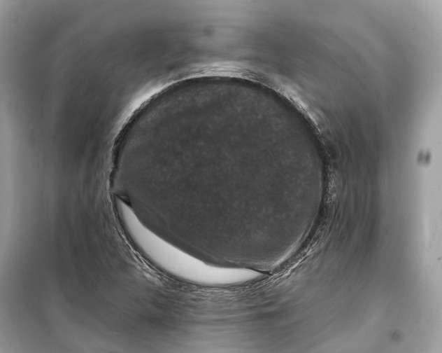 X0000099311312200805231355