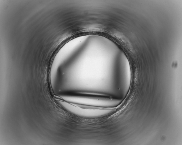 X0000099311313200805231355