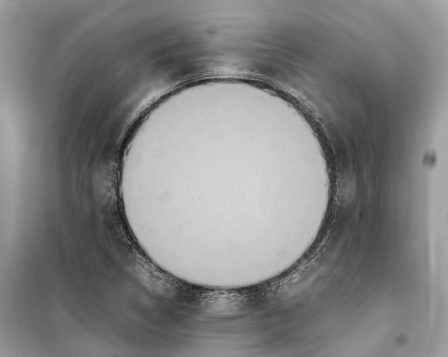 X0000099311314200805231355