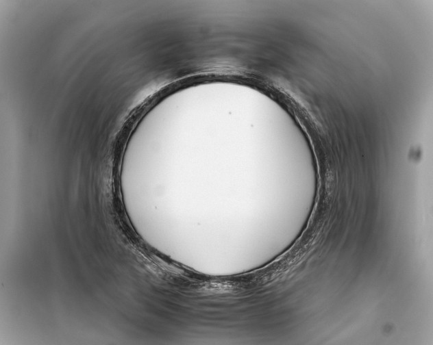 X0000099311315200805231355