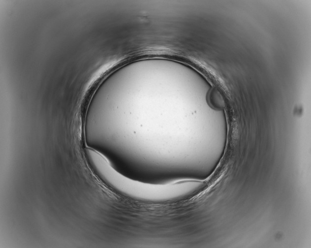 X0000099311317200805231355