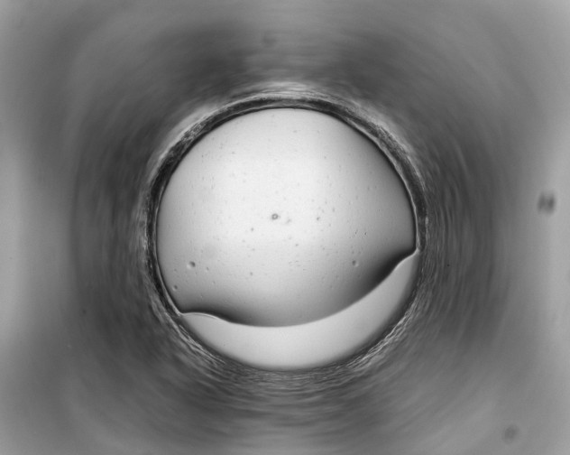 X0000099311318200805231355