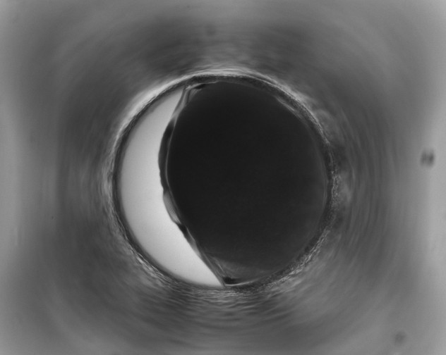 X0000099311319200805231355