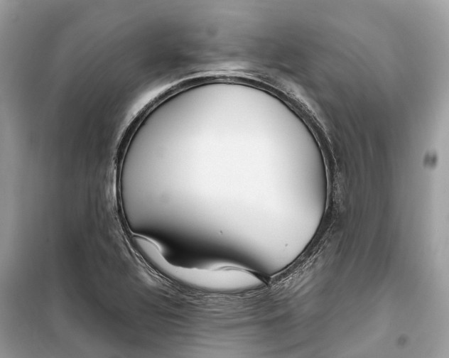 X0000099311320200805231355