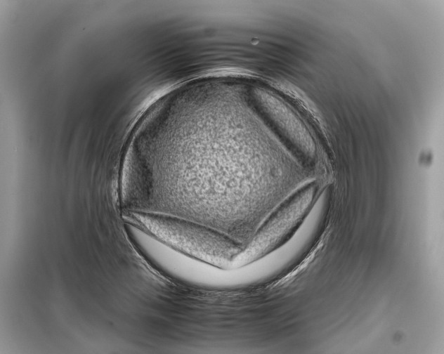 X0000099311321200805231355