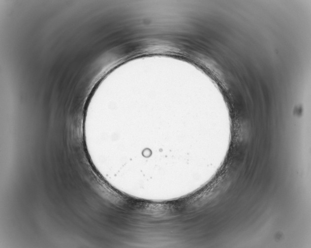 X0000099311322200805231355