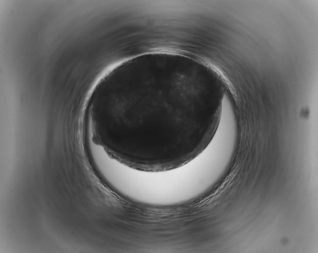 X0000099311323200805231355