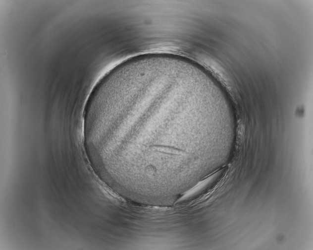 X0000099311324200805231355