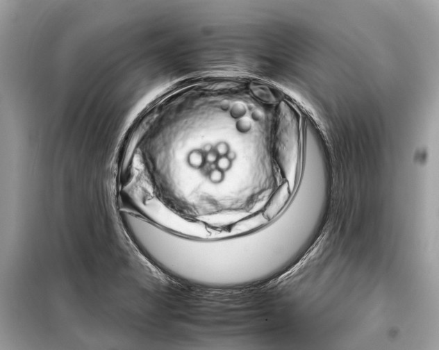 X0000099311325200805231355