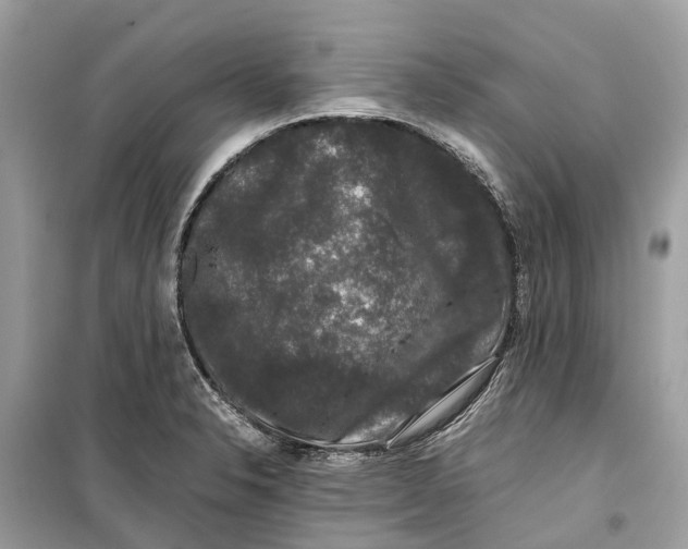 X0000099311326200805231355