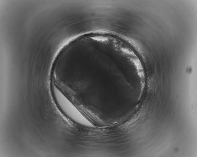 X0000099311327200805231355