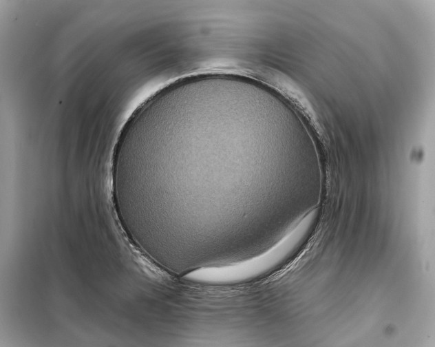 X0000099311328200805231355