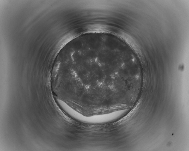 X0000099311329200805231355