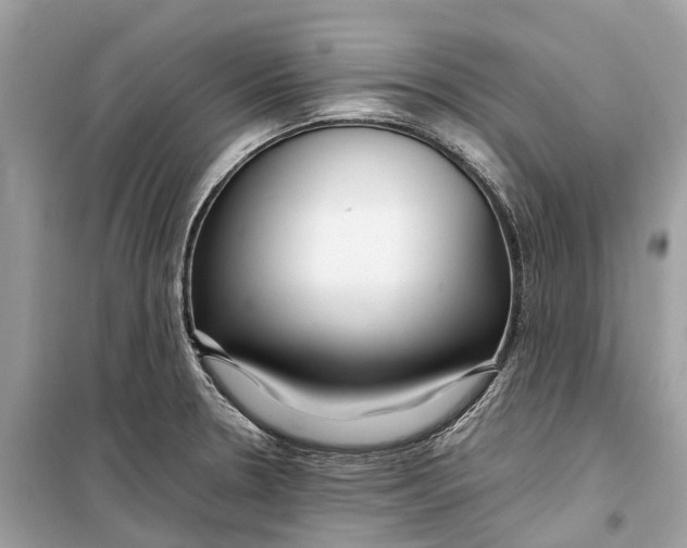 X0000099311330200805231355