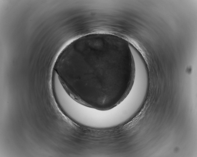 X0000099311331200805231355