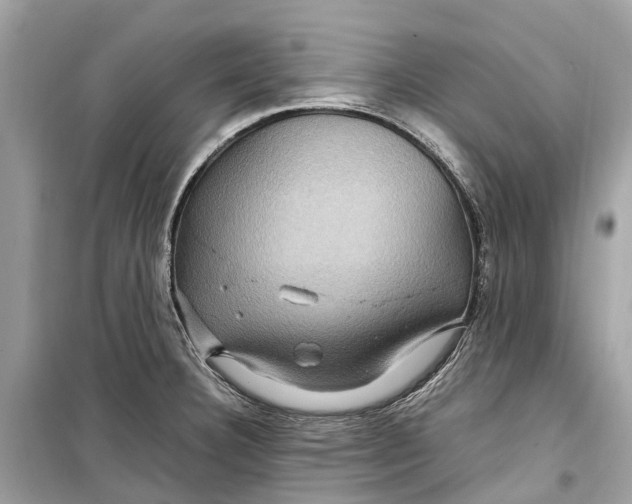 X0000099311332200805231355