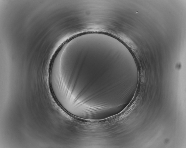 X0000099311334200805231355